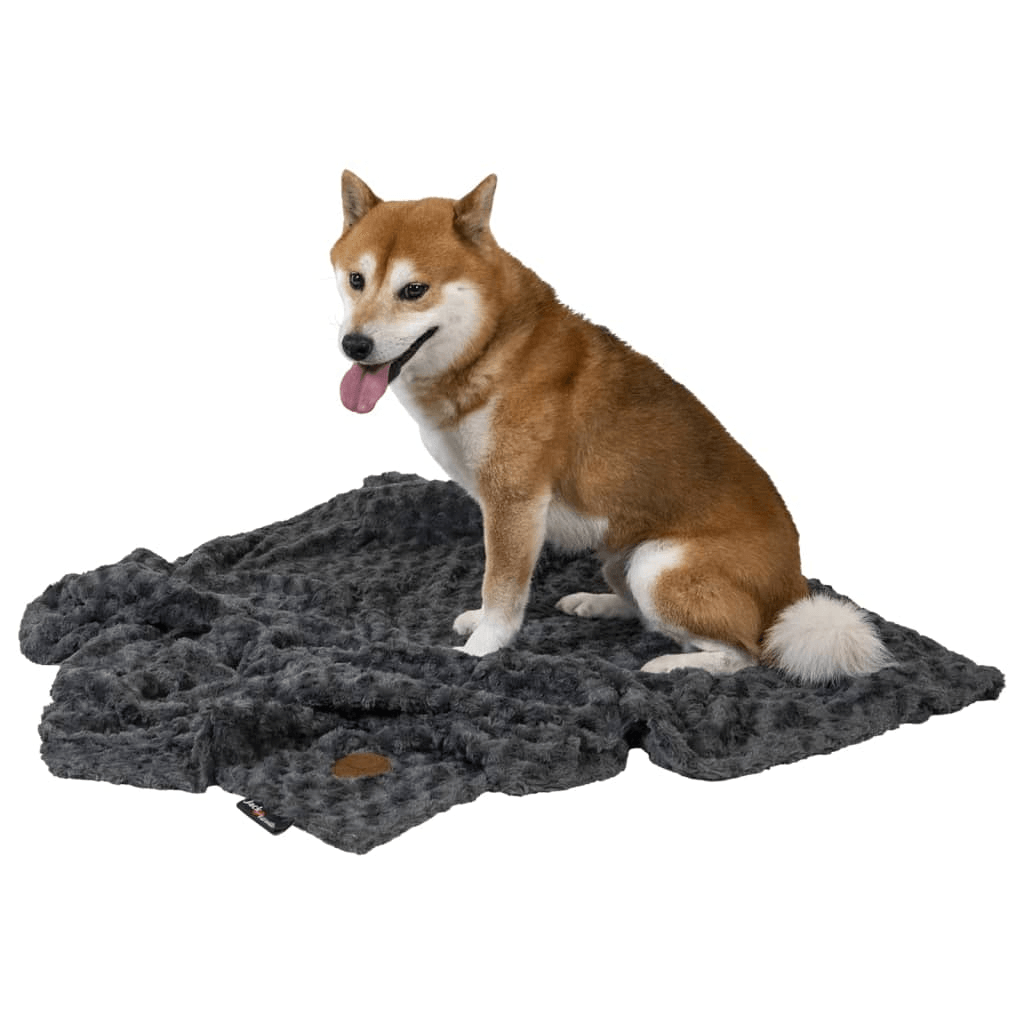 Jack and Vanilla Dog Cat Blanket | Coal XL-XXL