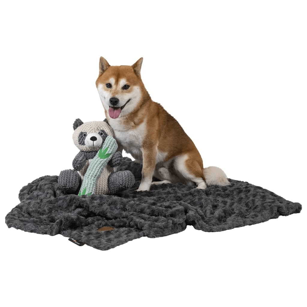 Jack and Vanilla Dog Cat Blanket | Coal XL-XXL