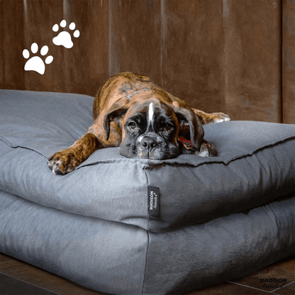 Madison Dog Lounge Panama | Grey 100x70x15 cm