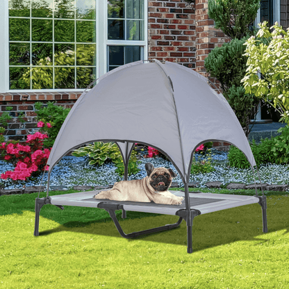 PawHut Elevated Dog Bed with Canopy Gray | Medium Dogs