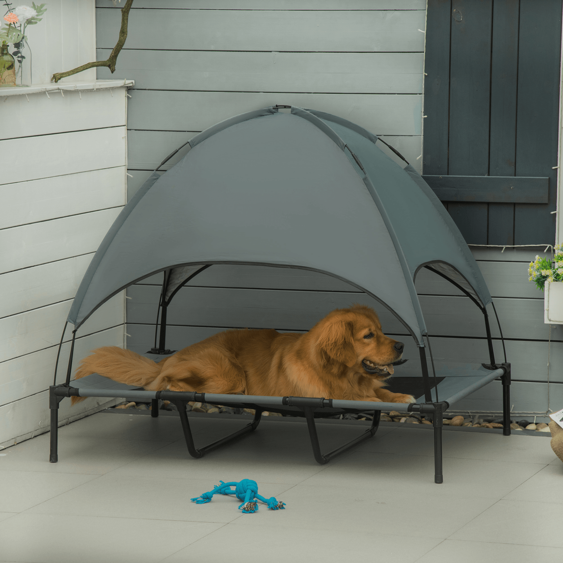 PawHut Elevated Dog Bed with Canopy Gray | XXL Dogs