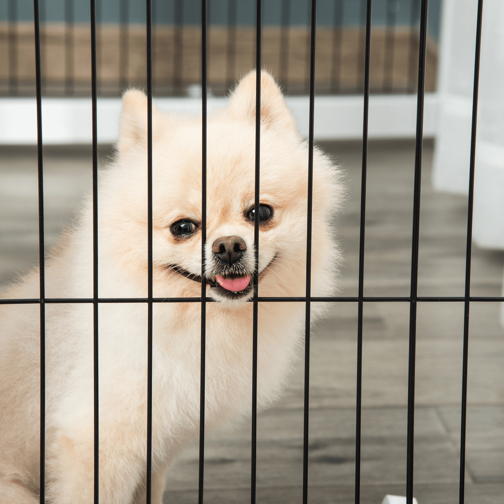 PawHut Freestanding Pet Gate - Foldable with Support Feet | White 264L x 35.5W x 77H cm - FluffePet