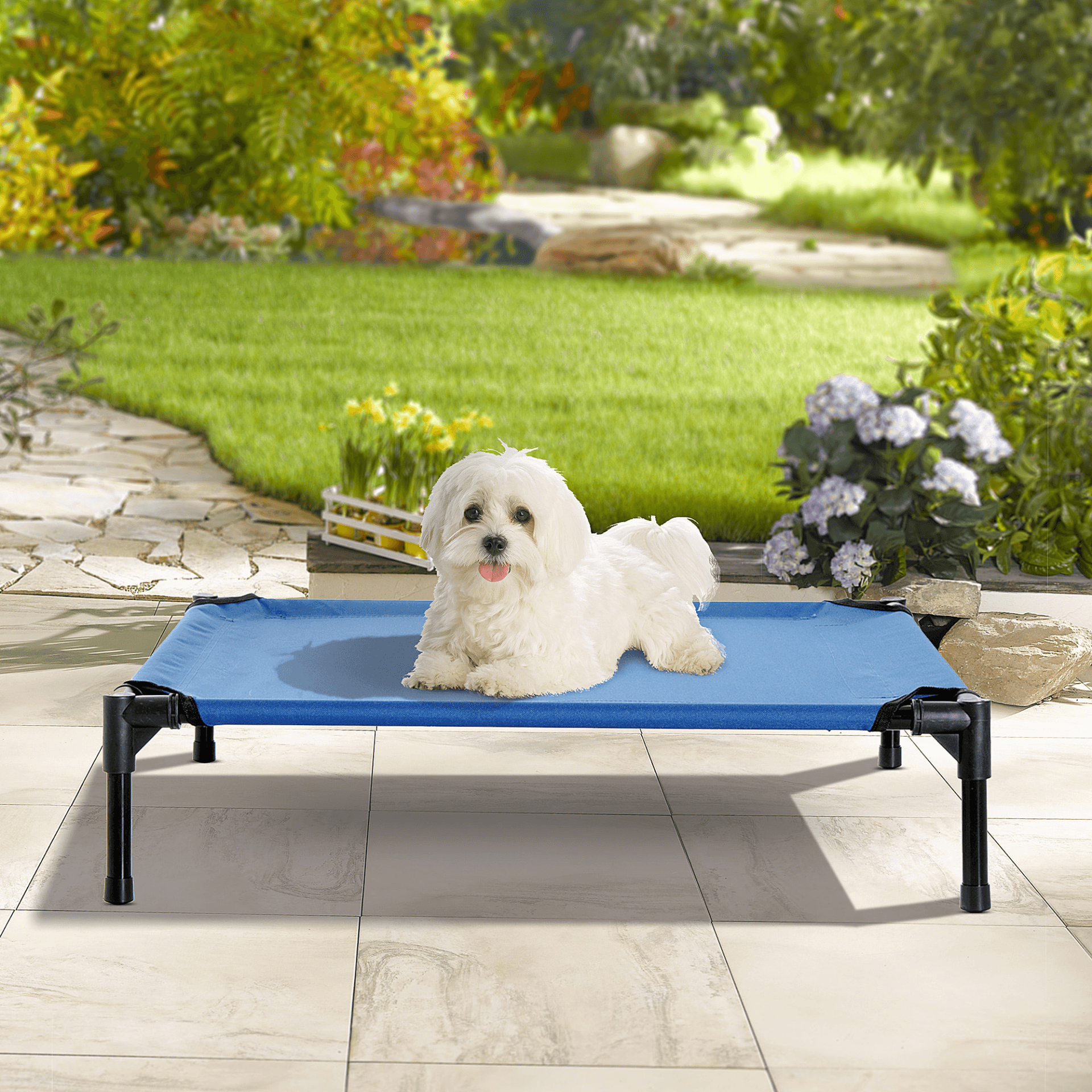 PawHut Raised Dog Bed Cooling Elevated Pet Cot with Breathable Mesh for Indoor Outdoor Blue  | Medium 