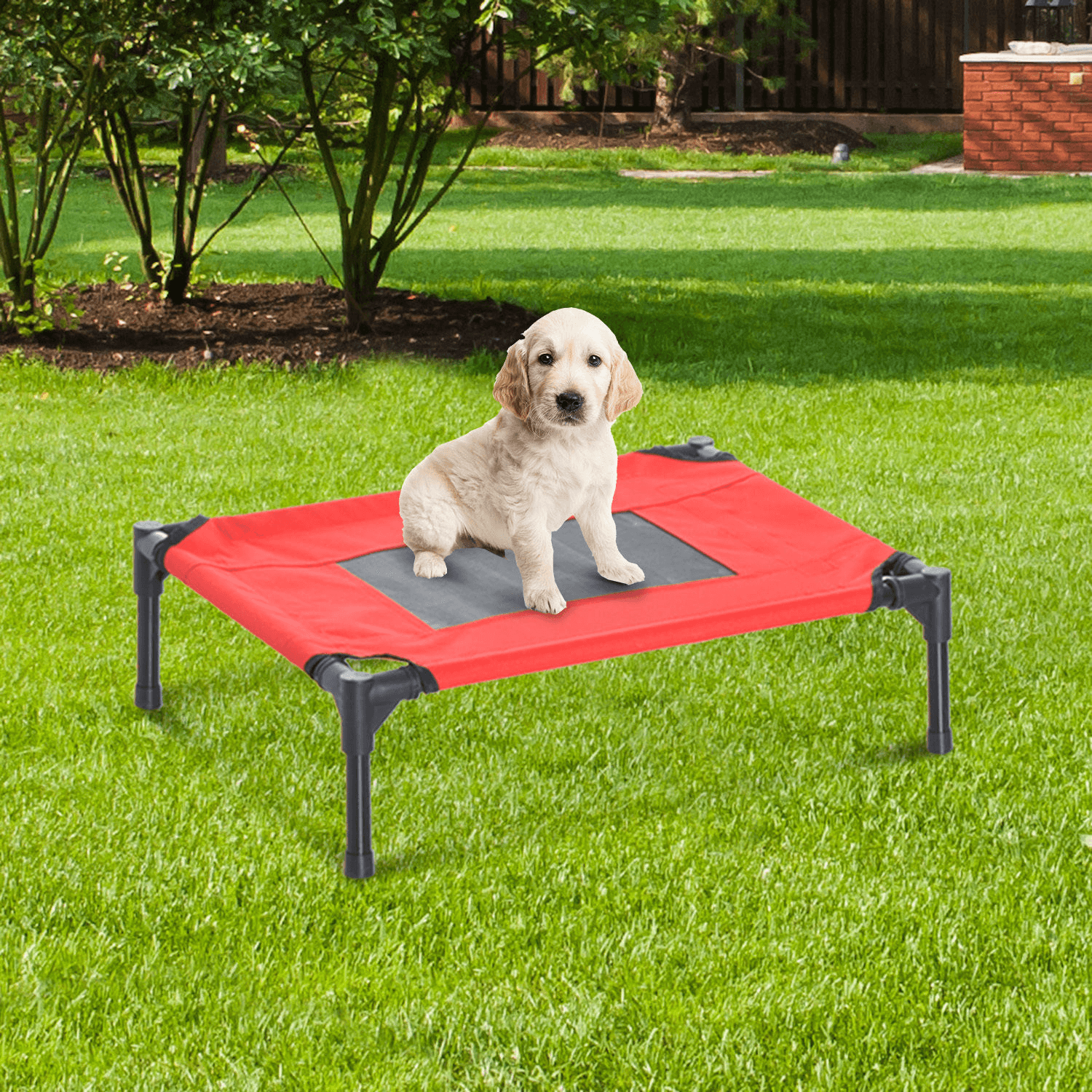 PawHut Raised Dog Bed Cooling Elevated Pet Cot with Breathable Mesh for Indoor Outdoor Red  | Small 