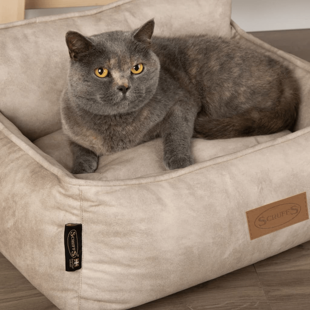 Scruffs & Tramps Dog Bed Kensington | Cream Large 90x70 cm - FluffePet